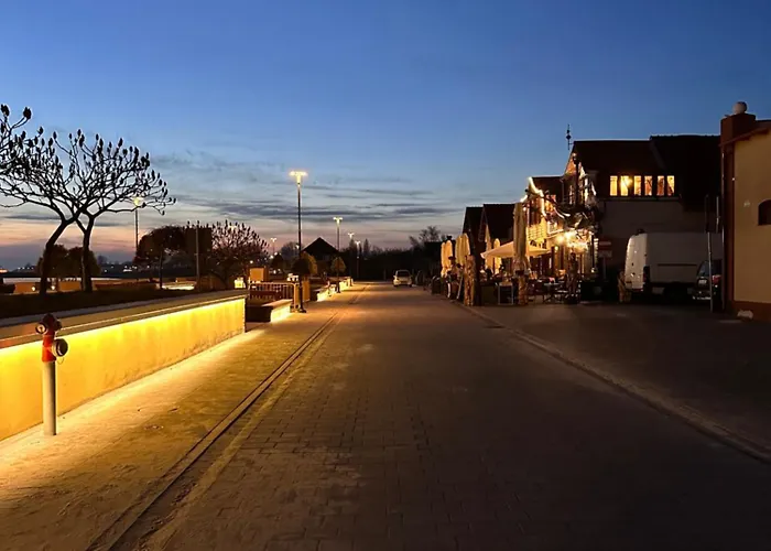 Przy Lesie Lägenhet